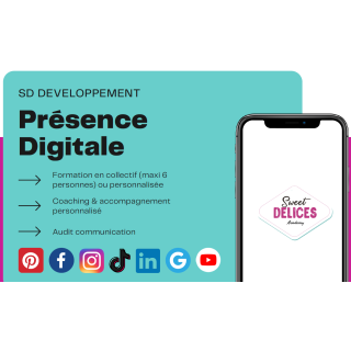 Formation Réseaux Sociaux – Les Fondamentaux du Digital et des Médias Sociaux